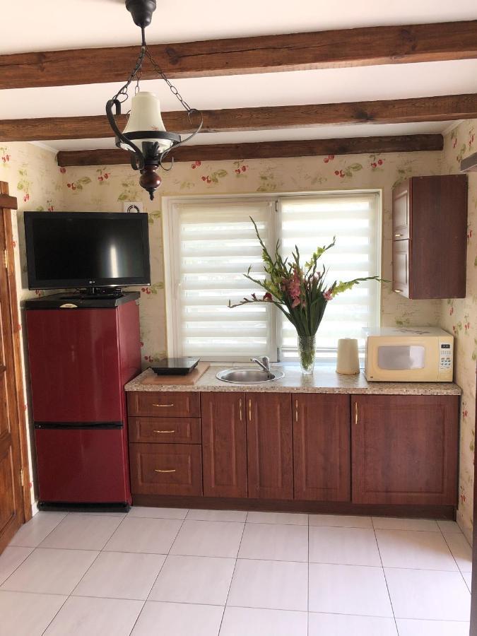 Apartments With Kitchen And Garden Kiev Luaran gambar